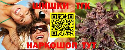 индика Мариинск